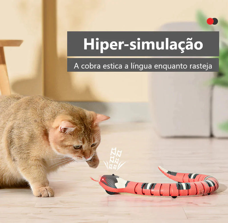 Cobrinha Interativa Para Pets - Coplay©